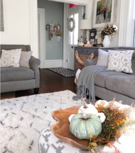 living room decor
