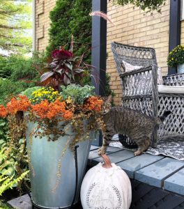 fall planter
