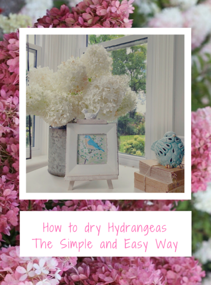 How to Dry Hydrangeas – Simple and Easy