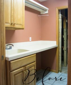 Blogger feature Grace In My Space-laundry room Before