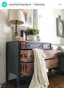Hand painted birds on sides of drawers for revamped dresser.
