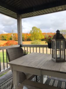 Fall Foliage