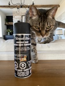 High heat paint for firebox